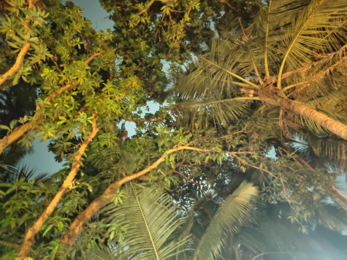 Namahstay Eco Hostel & Coworking & Art Community Space Arambol Ngoại thất bức ảnh